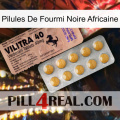 African Black Ant Pills 41